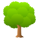 🌳