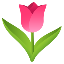 🌷