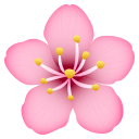 🌸