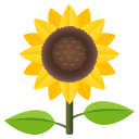 🌻