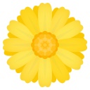 🌼