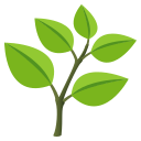 🌿