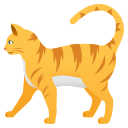 🐈