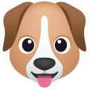 🐶