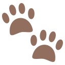 🐾