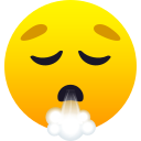 😮‍💨