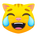 😹