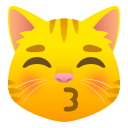 😽