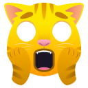 🙀