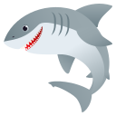 🦈