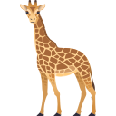🦒