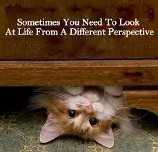 perspectiva.webp