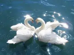 images7J1EVWI9.webp