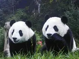 imagesIUKF5F6B.webp