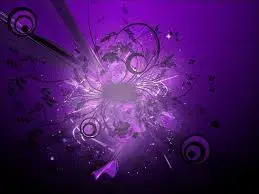 images3E2I7A0D.webp