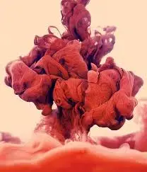 rojos.webp