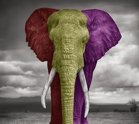 elefante-dumbo-republicano-manda-foto-suya-al-rey-juan-carlos-de-borbc3b3n-1320333000sy90a475h.webp