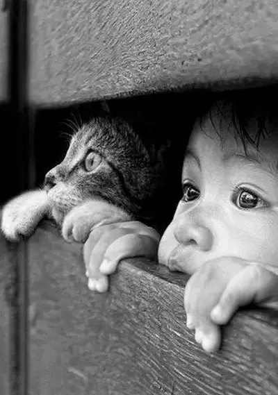 niÃ±o y gato tierna.webp