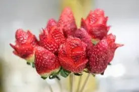cocinacrativ3.webp