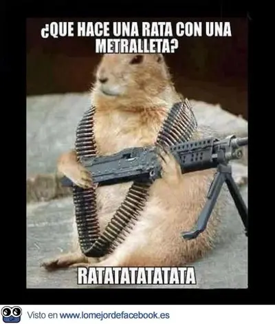 c8ad6a1d6ef5c7cc09d048215c932aee.webp