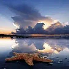 images1A1S0F6S.webp
