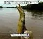 imagesY3KFXOGK.webp