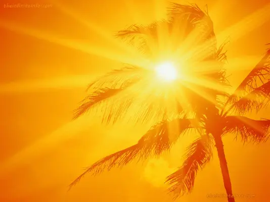 sunshine_yellow_1600x1200.webp
