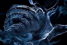 imagesQWJR78QA.webp