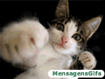 boxe.gif