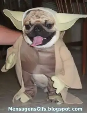 yoda.webp