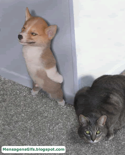 cachorrinho.gif