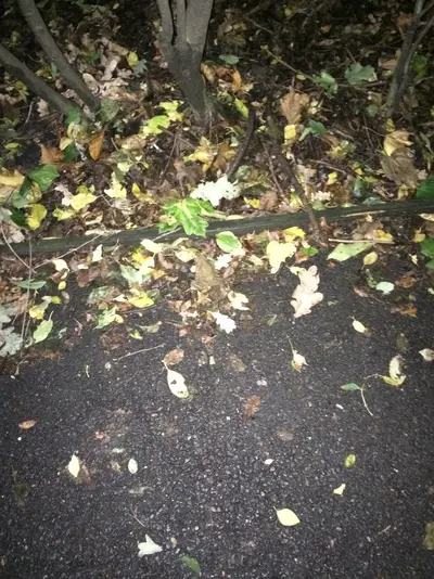IMG-20141009-WA0011.webp