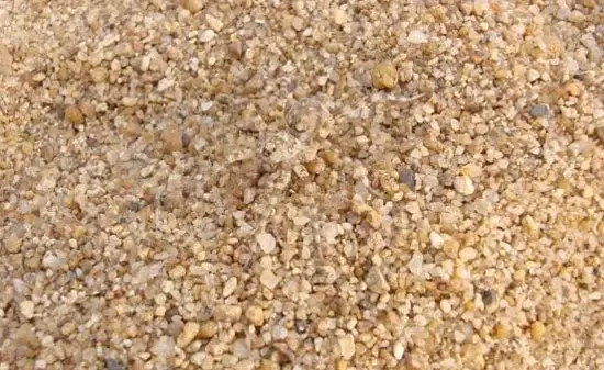 sand-spider.webp
