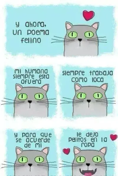 poema-gatuno.webp