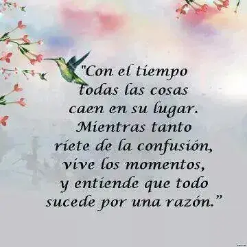 IMG_3345224489675.webp