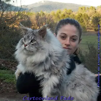uploadfromtaptalk1426239108134.webp