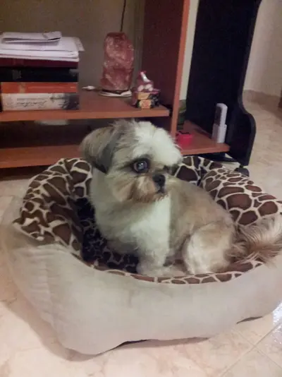 IMG-20150313-WA0056.webp