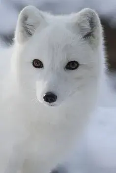12050