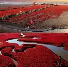 1565719055742.webp