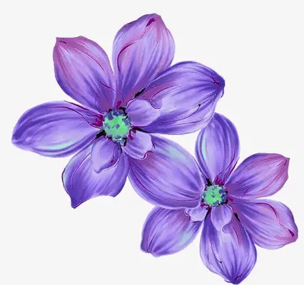 1565799795346.webp