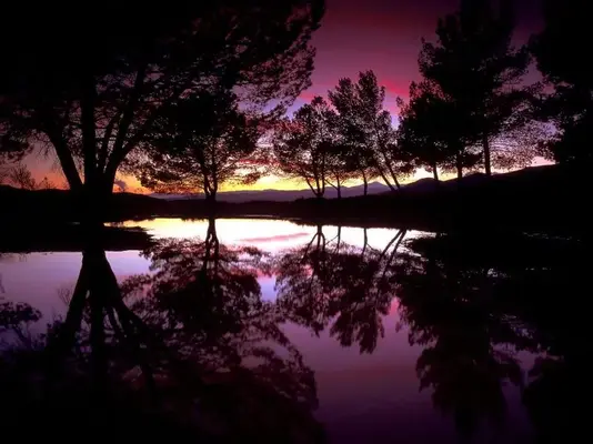 1568628005677.webp