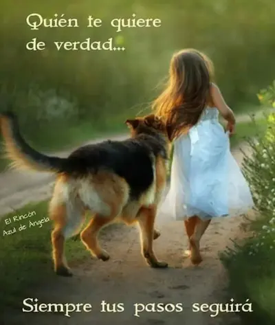 1574861771315.webp