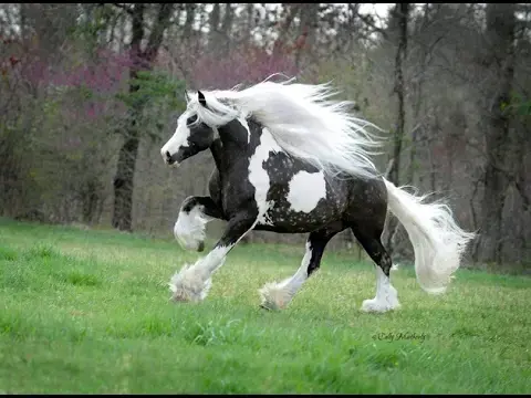 1574861955954.webp