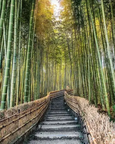 _20191208_130743.webp