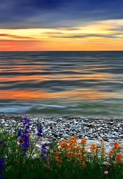 1579459961393.webp