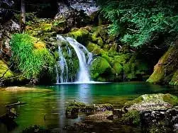 1583433798715.webp