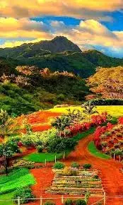 1583748745086.webp