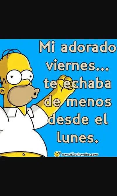 1584737924590.webp