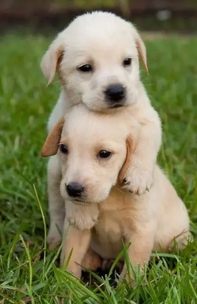 1587213498733.webp