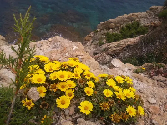 20180507_133515.jpg